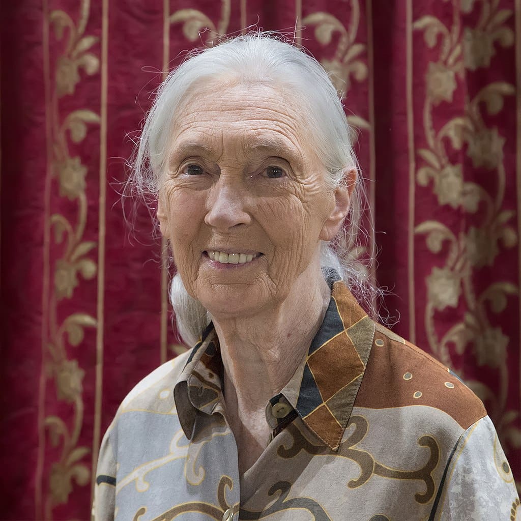 JaneGoodall